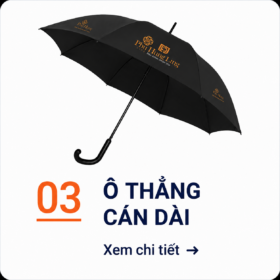 SAN PHAM 3 1